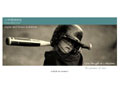 Visionary Foundation Website Intro Screenshot - Image Link