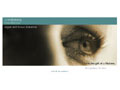 Visionary Foundation Splash Page 02 - Image Link